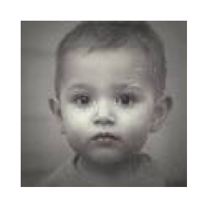 A Fund Baby