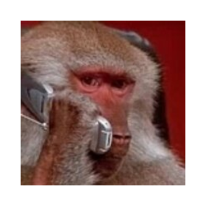 The dev is an Ape