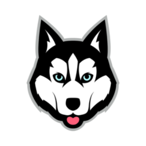 Balto Token