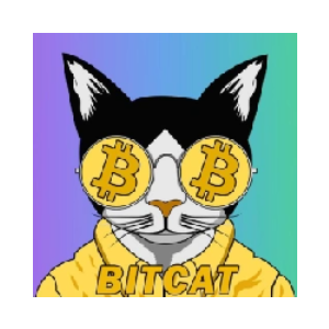 Bitcat