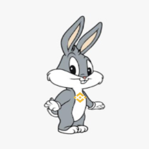 BNB BUNNY
