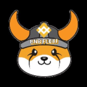 BNB FLOKI
