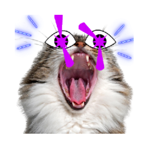BookOfPussyCats