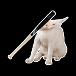 CatBonk