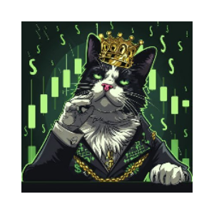 Cook Cat