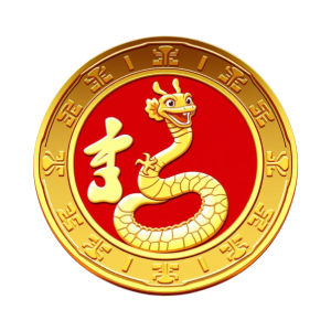 China Coin