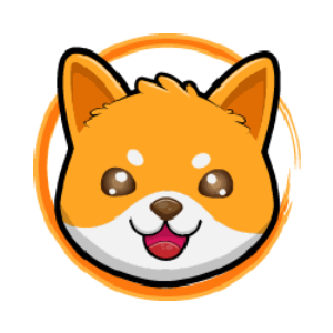 Doge Floki Coin