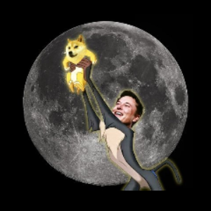 DOGE TO MOON