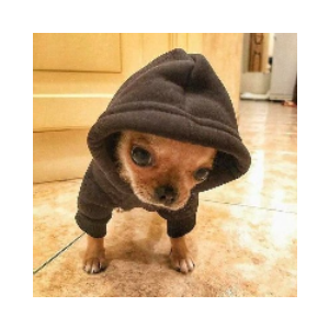 Doginhood