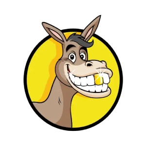 Donkey