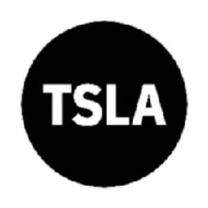 Tesla Tokenized Stock Defichain