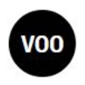 Vanguard S&P 500 ETF Tokenized Stock Defichain