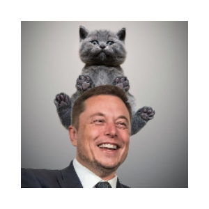 Cat of Elon