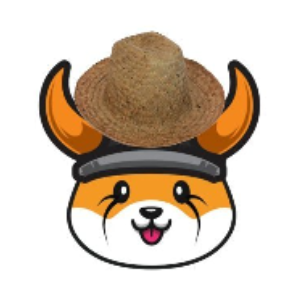 flokiwifhat
