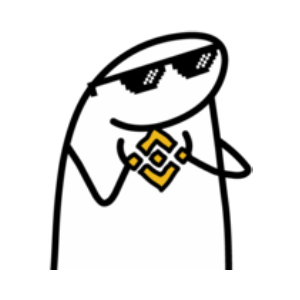 FLORK BNB