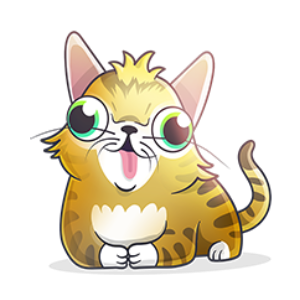 Googly Cat