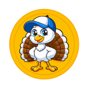 Hectic Turkey