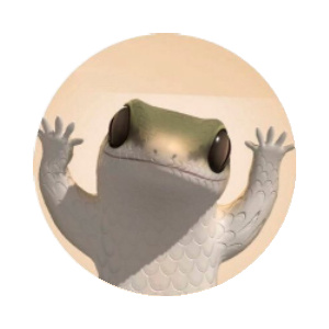 Dancing Lizard Coin