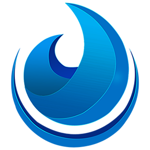 Light Token