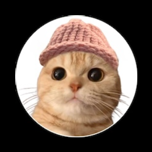 Meowifhat