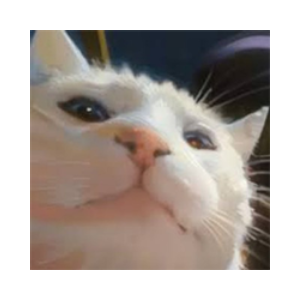 Vibe Cat