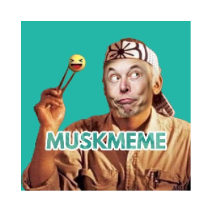 MUSK MEME
