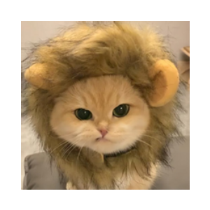 Nala