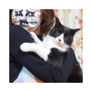 Onigiri The Cat