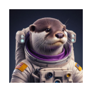 Otter Space