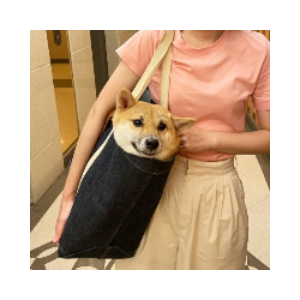 pochita
