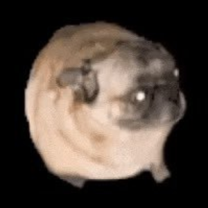 PUGDOG