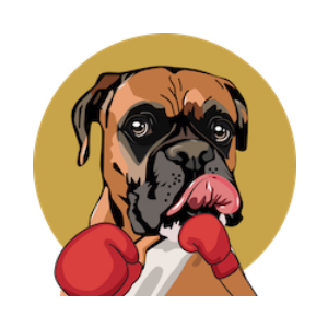 SUIBOXER