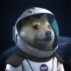 SpaceXDoge