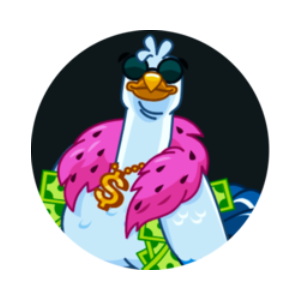 SEAGULL SAM