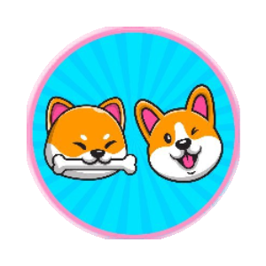 ShibaCorgi