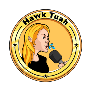 Hawk Ttuuaahh
