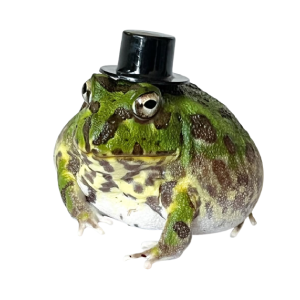 Sprout