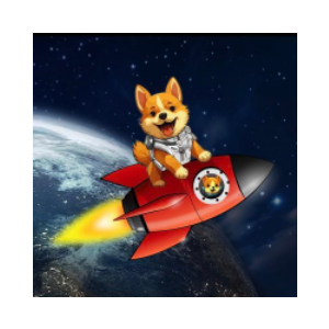 Starship Doge