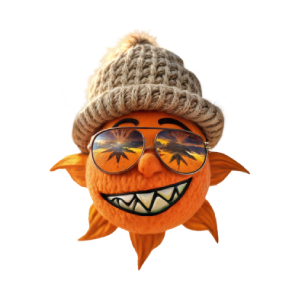 SUNwifHat