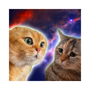 TwoTalkingCats