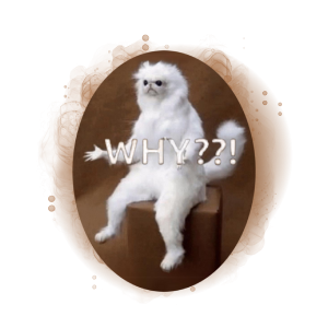 WhyCat