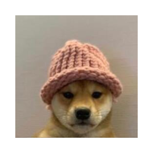 HAMSTER WIF HAT