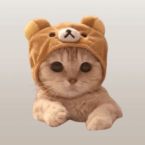 WIFCAT COIN