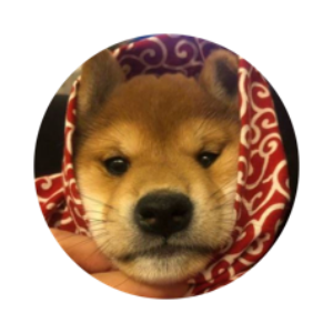 dogwifscarf