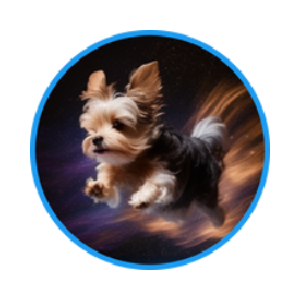 Yorkie Doge